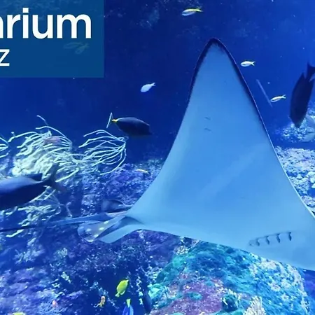 Grand 85m2 Centre De 6 Pers * Biarritz