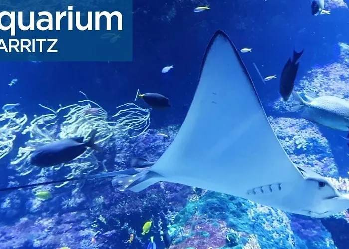 Grand 85m2 Centre De 6 Pers * ビアリッツ